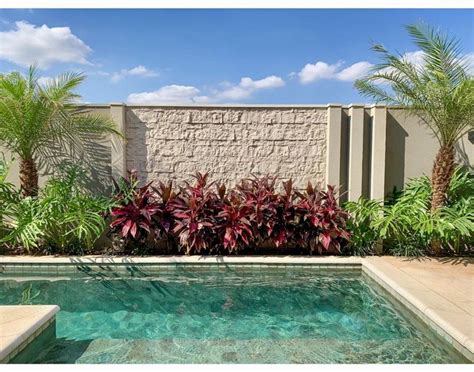 An Empty Swimming Pool Surrounded By Palm Trees And Other Greenery In