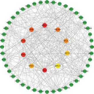 The Cytohubba Plugin In Cytoscape Was Used To Identify Hub Genes From