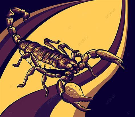 Illustration Of Scorpion Arachnid Insect Vector Graphics Tweezers Sting