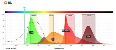 Cell Viability