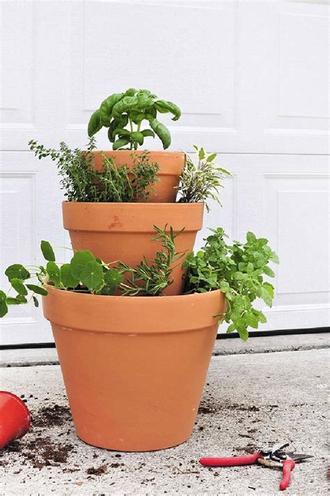 30 Easy DIY Herb Garden Ideas For Indoor And Outdoor Blitsy