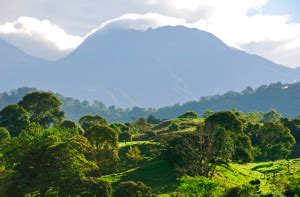 Biodiversity In Panama An Ecological Wonderland