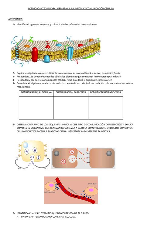 Actividad Integradora ACTIVIDAD INTEGRADORA MEMBRANA PLASMATICA Y