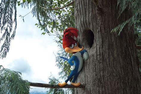 Woody Woodpecker Live Action Movie Teaser Trailer