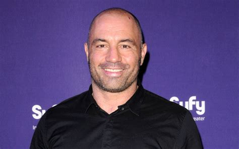 Joe Rogan Uses Horse Dewormer To Fight Covid Entertainment News