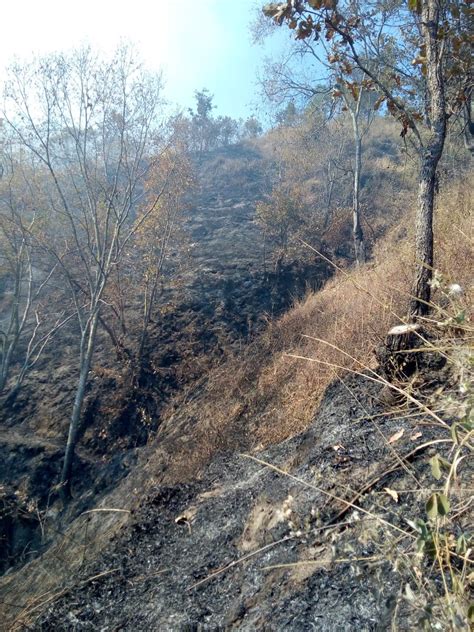 Conred On Twitter Huehuetenango El Incendio Forestal En Sector