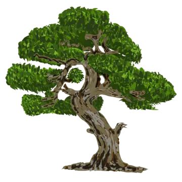 Beautiful Green Banyan Bonsai Tree Vector Banyan Bonsai Tree