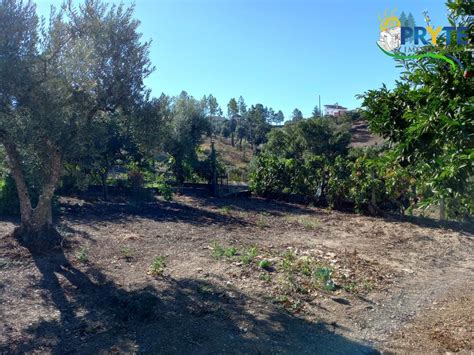 Quintas E Casas R Sticas Quintinha T Venda Em Cumeada E Marmeleiro