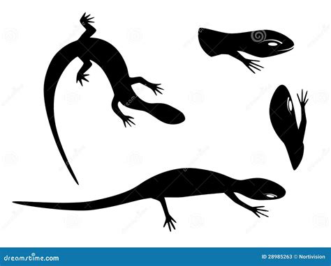 Lizard Silhouettes Stock Illustration Illustration Of Macro