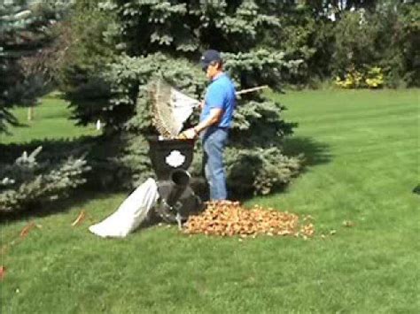 Electric Wood Chipper Leaf Shredder Shredding Leaves YouTube