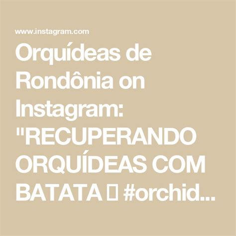 Orqu Deas De Rond Nia On Instagram Recuperando Orqu Deas Batata