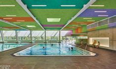 15 Natatorium Design ideas | swimming pools, pool, indoor pool