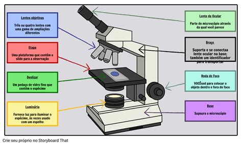 Atividade de Rotulagem de Peças de Microscópio Storyboard That