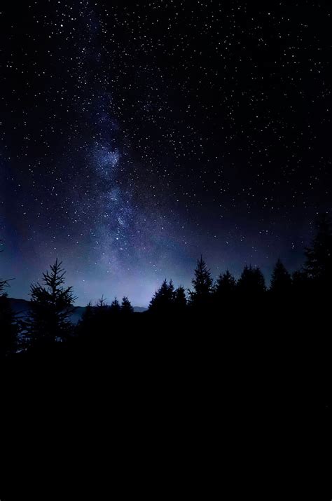 Images Of Night Sky Stars Trees Infoupdate Org