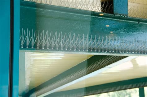 Bird Deterrents - Netting, Wire & Spikes | Bird Deterrent Solutions