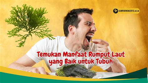 Temukan Manfaat Rumput Laut Yang Baik Untuk Tubuh Birds N Bees