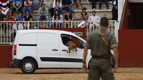 Las Mejores Im Genes De La Jornada Del S Bado En Salamaq La