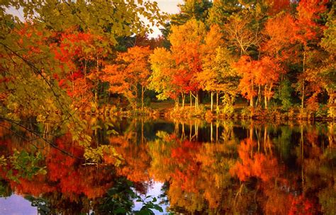 Gli Posti Pi Belli Per Ammirare Il Foliage In Italia Bigodino