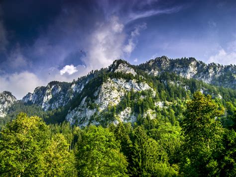 Fond d écran des arbres Montagne Alpes des nuages Allemagne