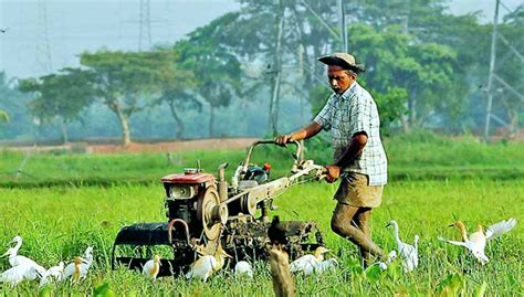 Farmer In Sri Lanka Department Of Agriculture Sri Lanka