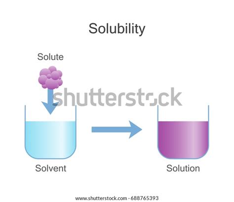 Dissolving Solids Solubility Chemistry Stock Illustration 688765393