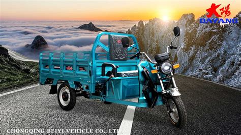 China Customized Carga Triciclo Motocicleta Suppliers Manufacturers