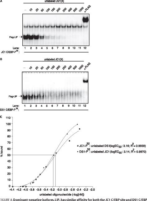 Figure 1 From Regulation Of SIVmac239 Basal Long Terminal Repeat