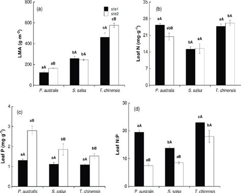 Leaf Mass Per Area Lma And Leaf Nutrient Conditions Mean ± Se Of