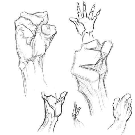 Artstation Studying Bridgmans Anatomy Hands 01