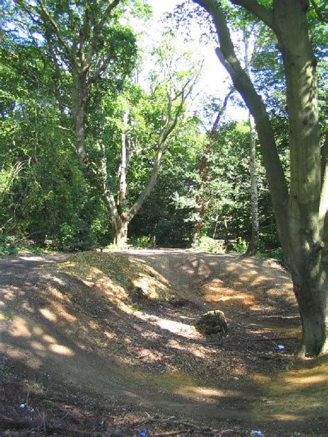 Woodland Thorndon Park Brentwood © John Winfield Cc By Sa20