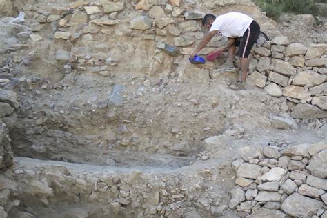 Callosa Adjudica La Musealizaci N Del Yacimiento De Las Laderas Del