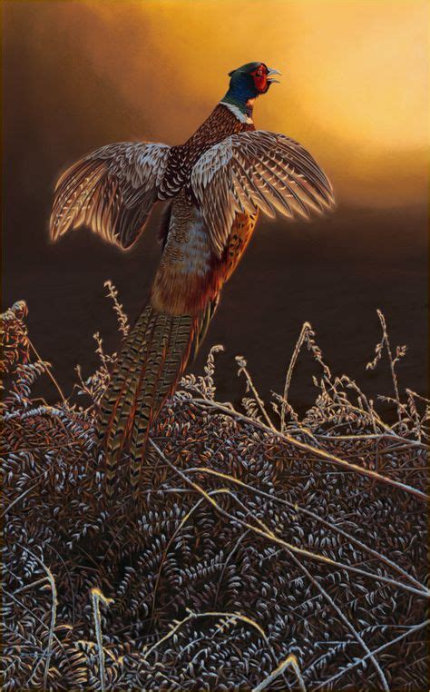 33 Pheasant Art Ideas Pheasant Wildlife Art Wildlife Paintings