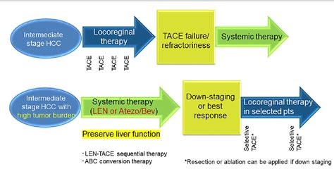 Figure 1 From All Stages Of Hepatocellular Carcinoma Patients Benefit