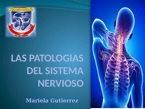 Pptx Celulas Del Sistema Nervioso Central Y Periferico Dokumen Tips