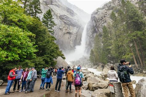 Da San Francisco Gita Guidata Di Un Giorno Al Parco Nazionale Dello