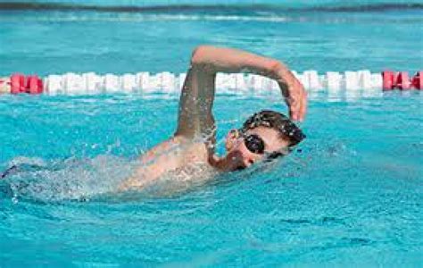 Natation Requins Cours Hebdo Vielsalm Sport Fun Culture