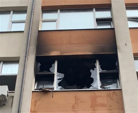 Incendiu La Un Laborator De Genetic Din Timi Oara Timisoara Stiri