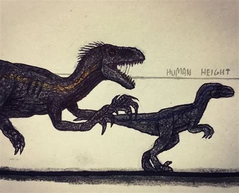 Size Comparison Indoraptor And Velociraptor Blue From The Trailer Blue