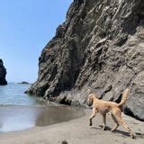 Secret Beach Trail, Oregon - 1,121 Reviews, Map | AllTrails