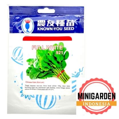 Jual KAILAN FULL WHITE 20GRAM PACK BESAR Bibit Benih Biji Chinese Kale