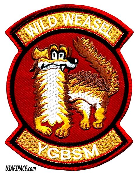 Usaf 36 Fighter Sq 36 Fs F 16c D Cobra Gold 2023 Wild Weasel Ygbsm Vel Patch Ebay