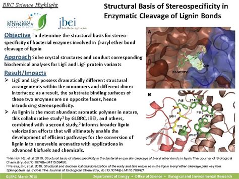 BRC Science Highlight Structural Basis Of Stereospecificity In