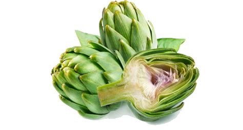 Artichokes Transparent Background Transparent Hq Png Download Freepngimg