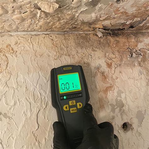 Mold Testing Service 24 7 Mold Assessor Usa