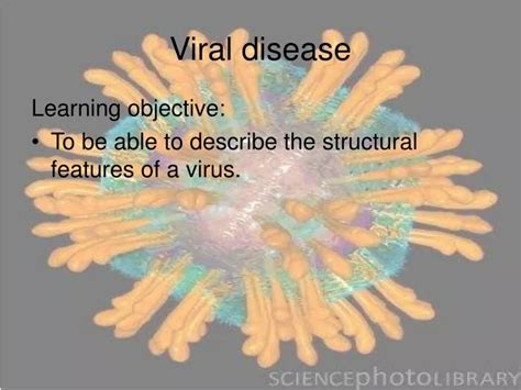 Ppt Viral Disease Powerpoint Presentation Free Download Id9590208