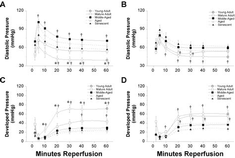 Age Related Changes In Ischemic Tolerance In Male And Female Mouse