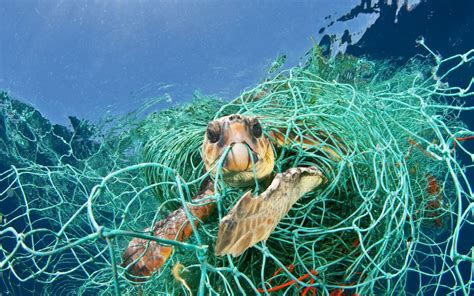 Le Reti Fantasma Una Nuova Fonte Di Inquinamento Marino