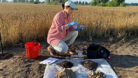 Female Agronomy Specialist Testing Soil Sample By Using Laboratory