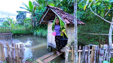 Wah Seenak Ini Suasana Damai Di Desa Tentram Hidup Di Kampung Indah