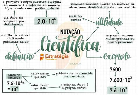 Atividade Sobre Nota O Cientifica Braincp